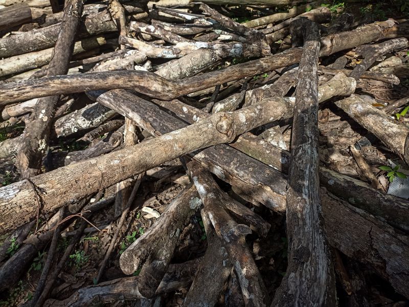 Brush Removal Service