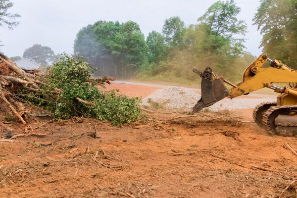 Ground Clearing in Dubuque