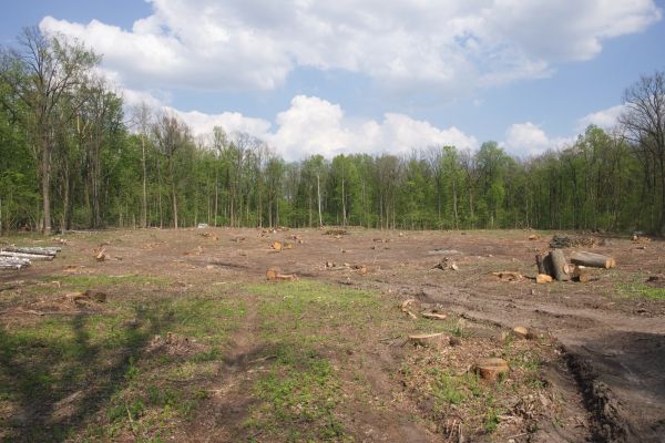 Cost of Pasture Clearing in Dubuque