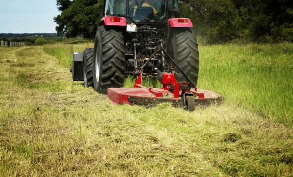Brush Clearing Service in Dubuque