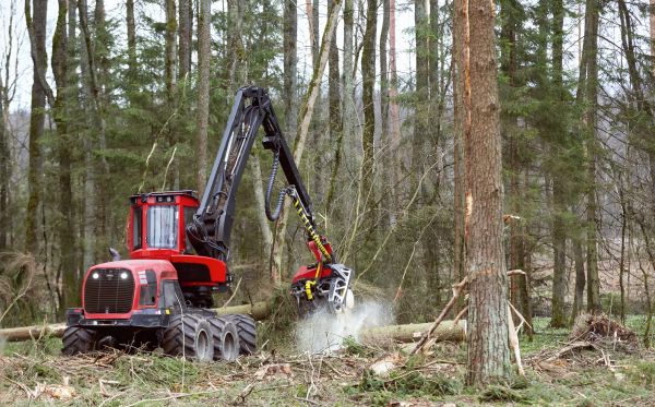Cost of Forest Clearance Service in Dubuque