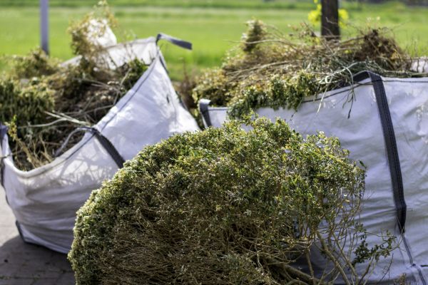 Cost of Bushes Clearing in Dubuque