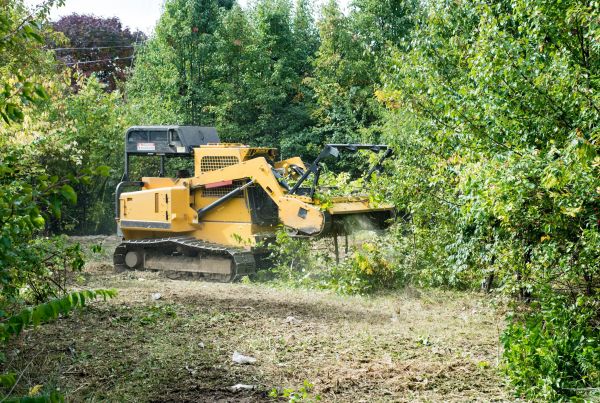 Cost of Pathway Clearing in Dubuque