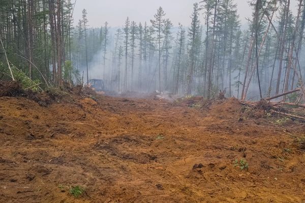 Cost of Hill Clearing in Dubuque