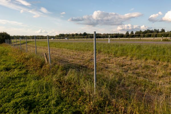 Cost of Property Line Clearing in Dubuque