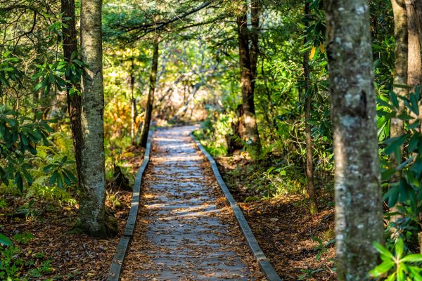 Cost of Trail Clearing in Dubuque