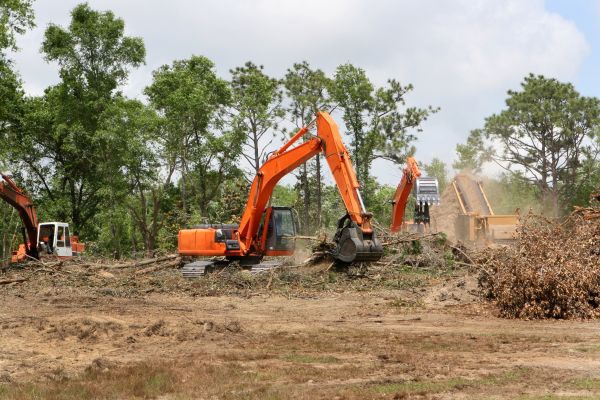 Cost of Commercial Lot Clearing in Dubuque