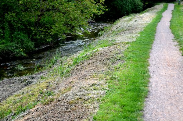 Cost of Trail Cutting in Dubuque